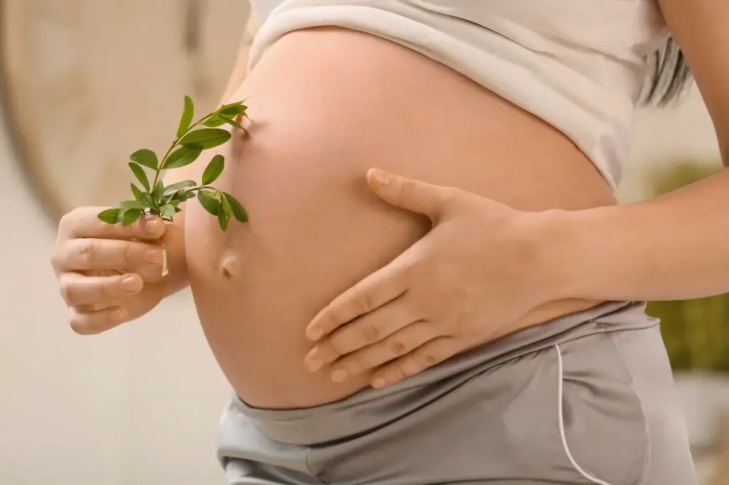 Program image